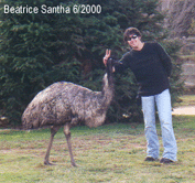 Bild von einem Emu und meinem Brudere